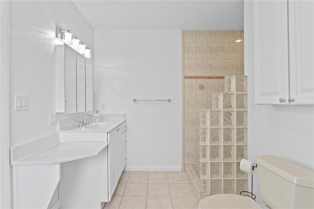 234 Driftwood Road Southeast St. Petersburg, FL 33705 - Photo 55 of 66 a bathroom with a granite countertop sink a toilet a mirror and shower