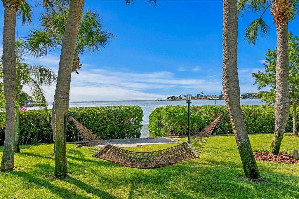 234 Driftwood Road Southeast St. Petersburg, FL 33705 - Photo 65 of 66 a view of a backyard with swimming pool