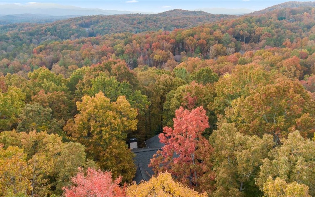 Additional View