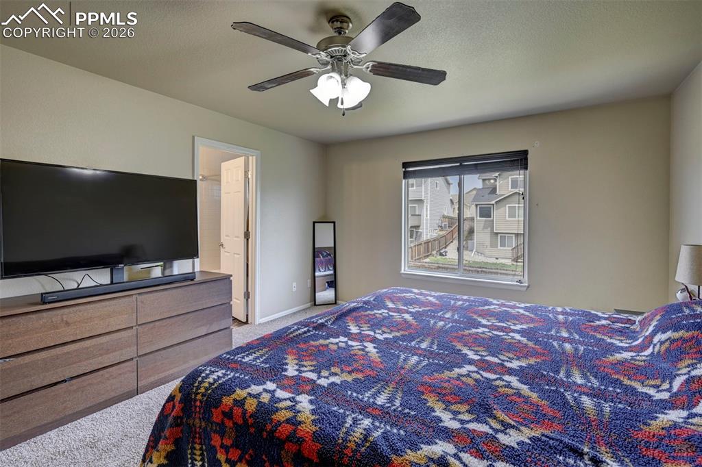 4959 Gami Way Colorado Springs, CO 80911 - Photo 19 of 44