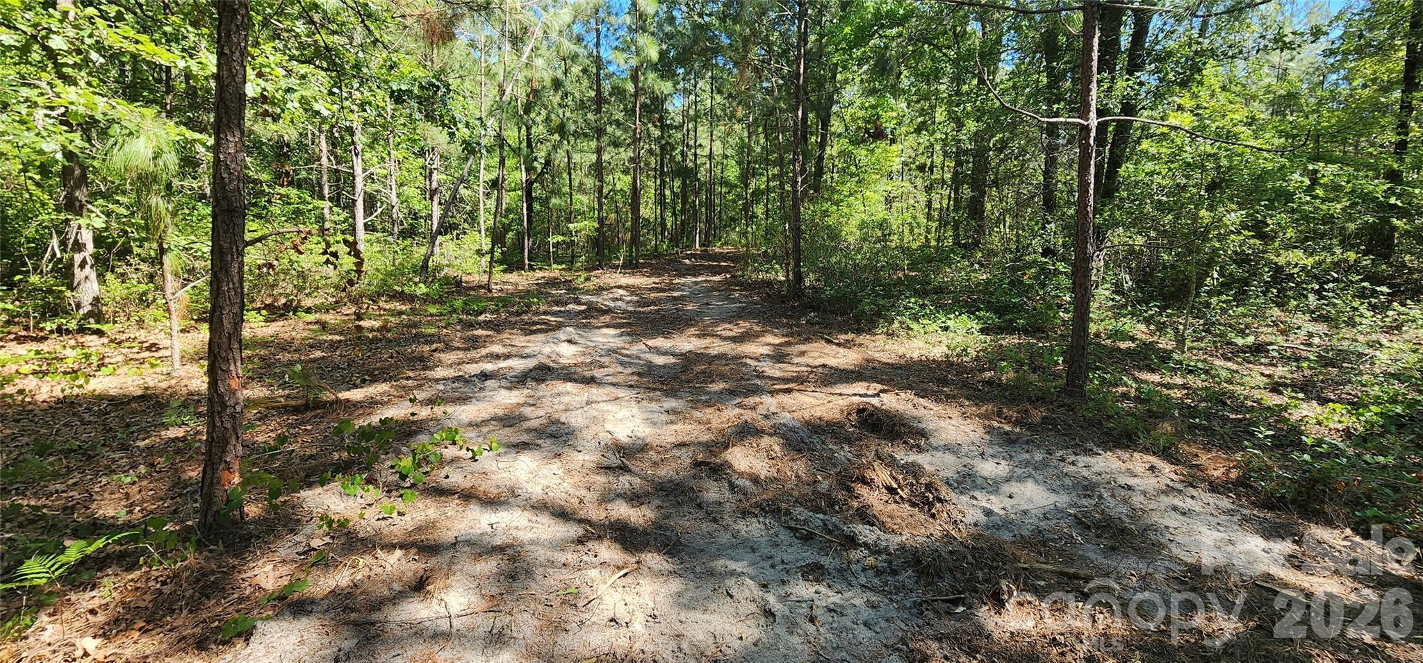 1050 McQueen Road Patrick, SC 29584 - Photo 22 of 48 a view of outdoor space and yard