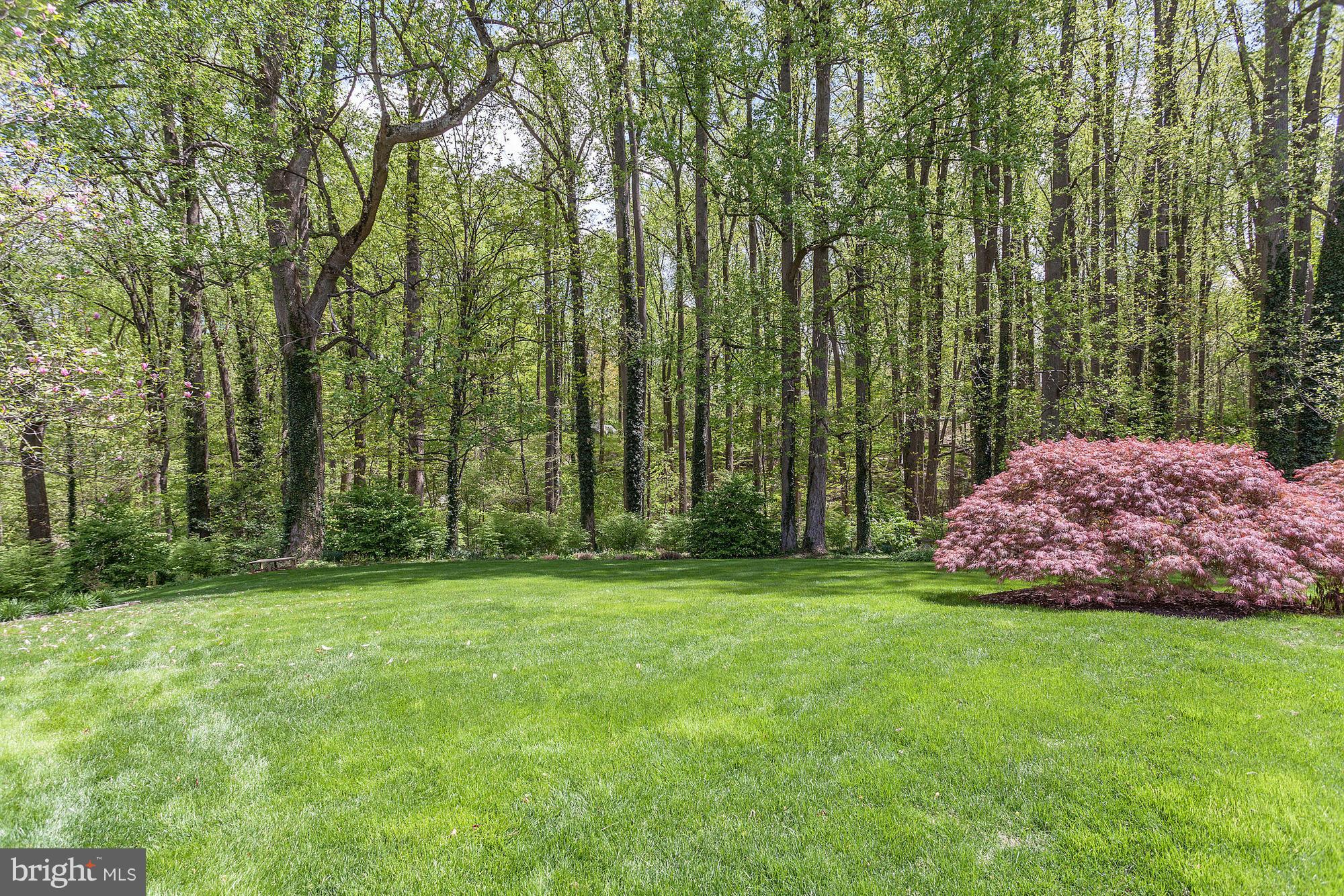 1133 Spring Hill Road McLean, VA 22102 - Photo 5 of 30 Exterior (Rear)