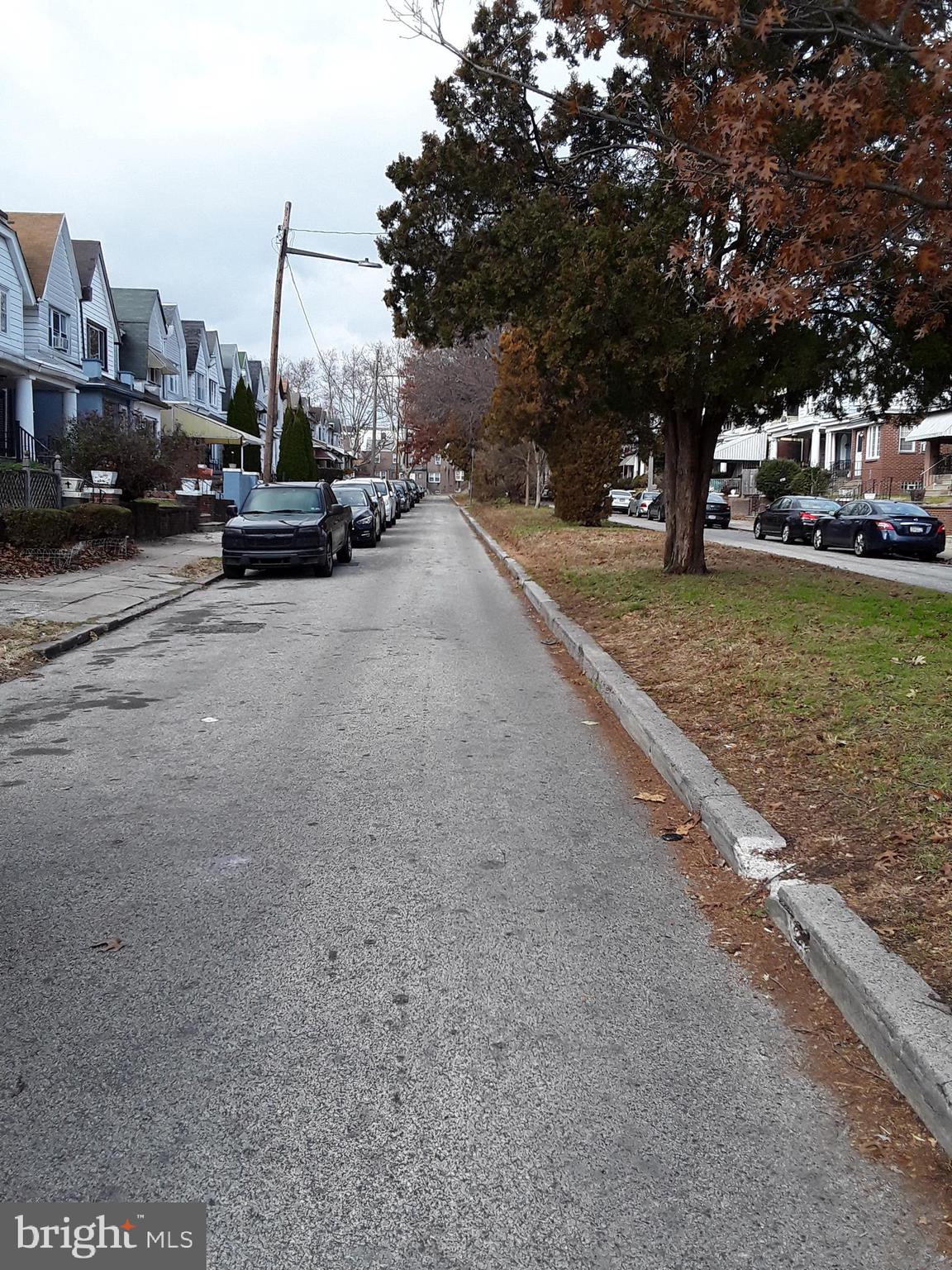 1206 Marlyn Road Philadelphia, PA 19151 - Photo 14 of 40 Street View with Tree Lined Median