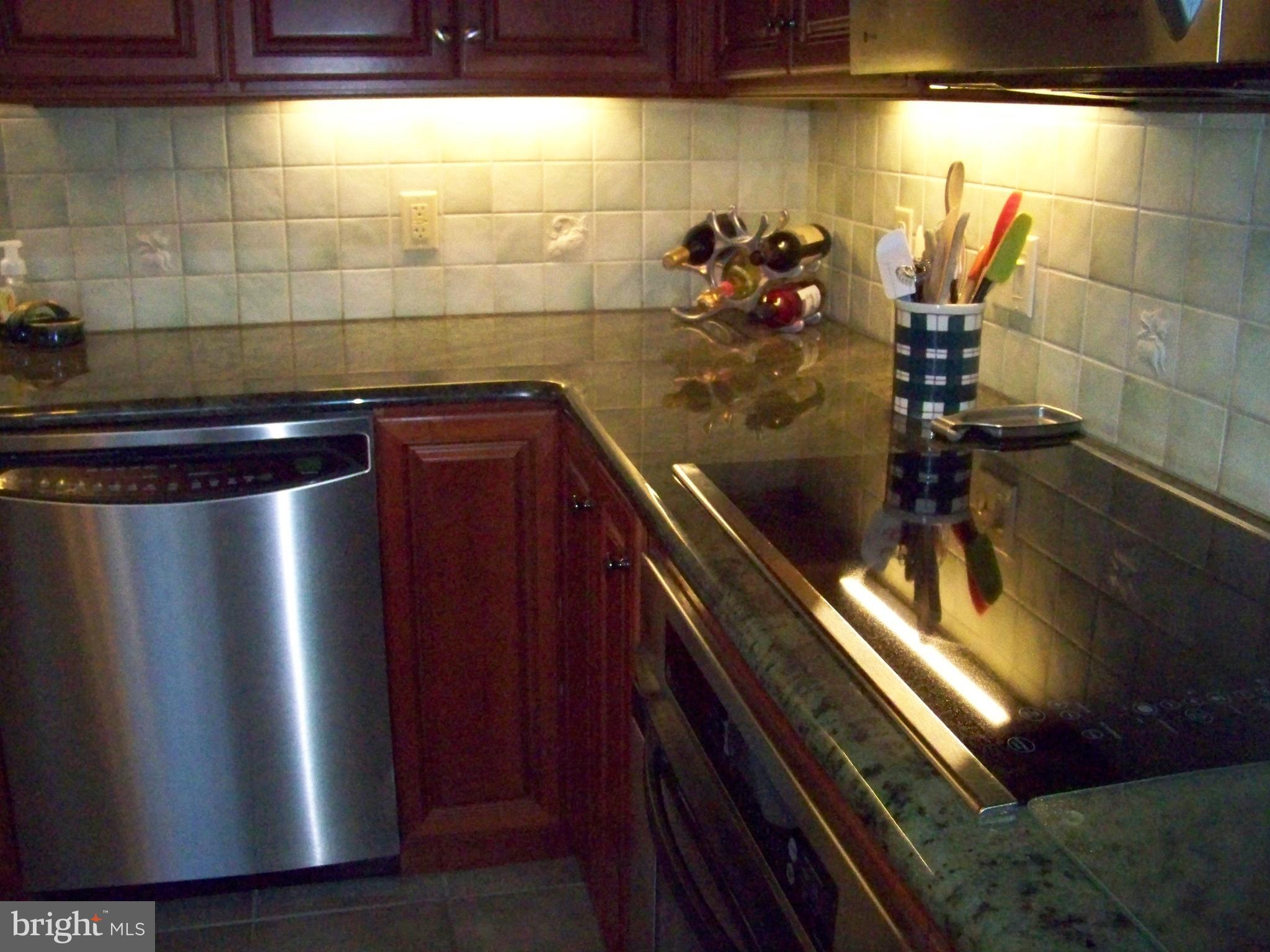466 Scotland Road Quarryville, PA 17566 - Photo 18 of 28 Granite Countertops