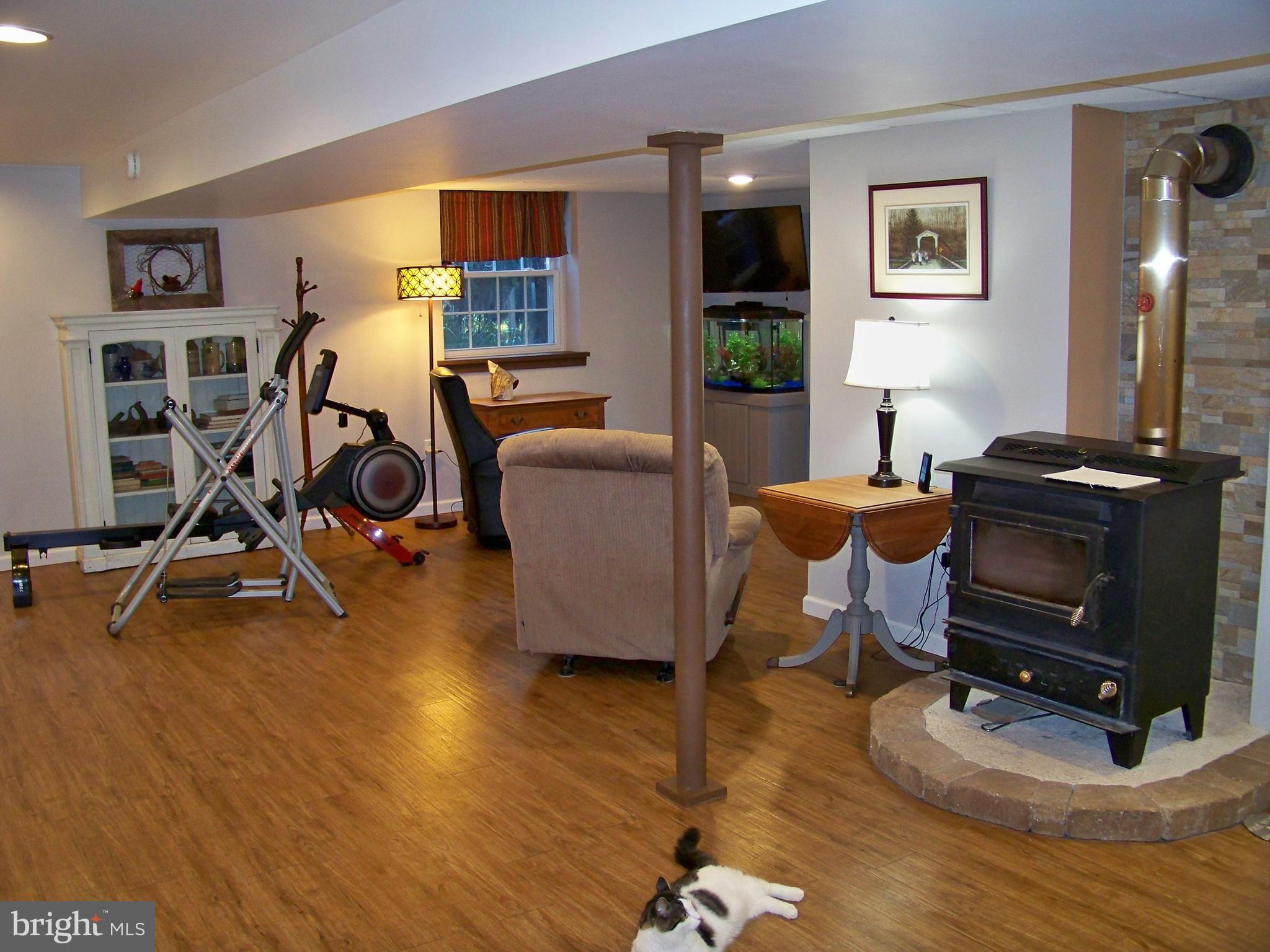 466 Scotland Road Quarryville, PA 17566 - Photo 24 of 28 Finished Basement