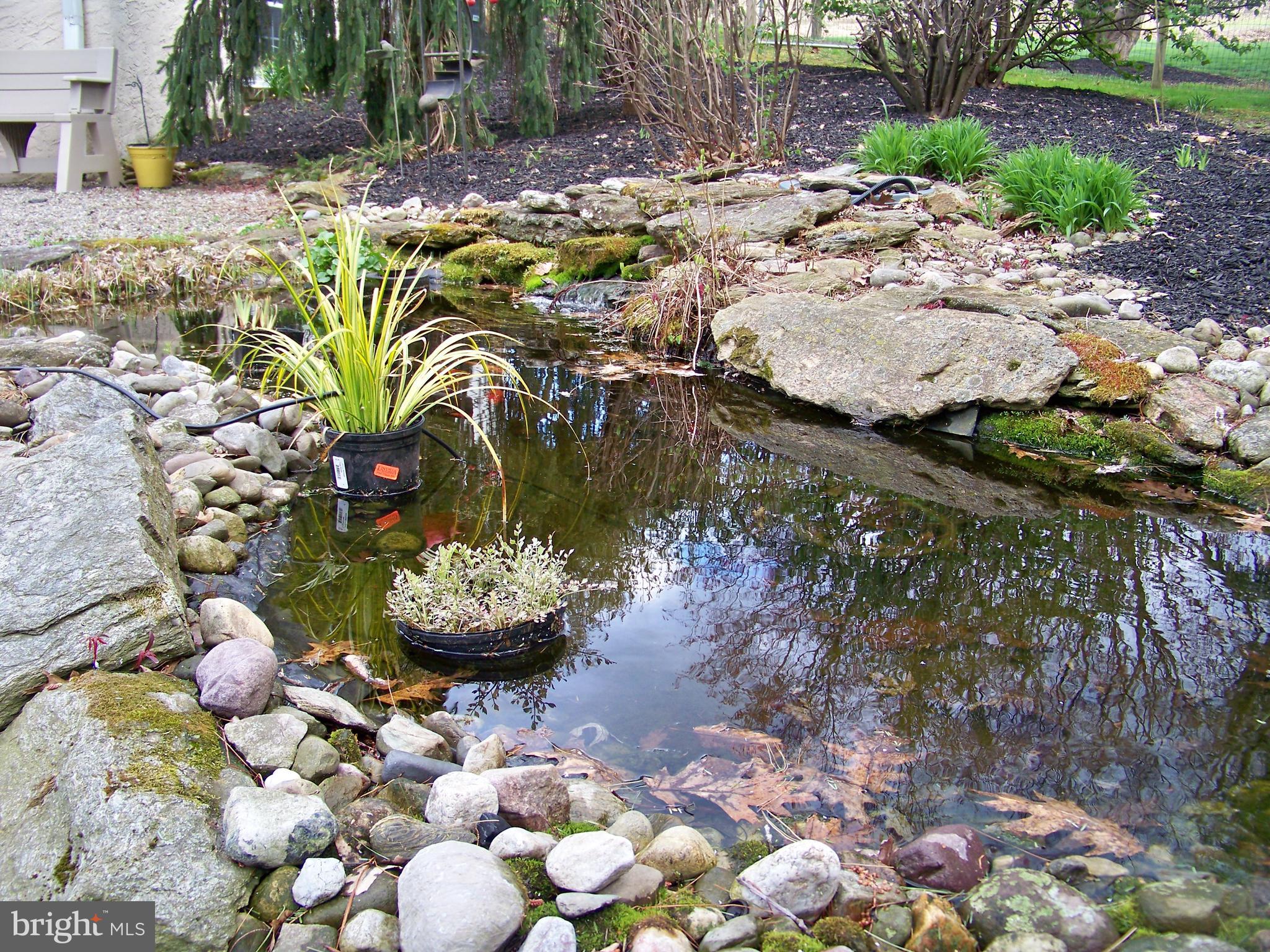 466 Scotland Road Quarryville, PA 17566 - Photo 9 of 28 Fish Pond
