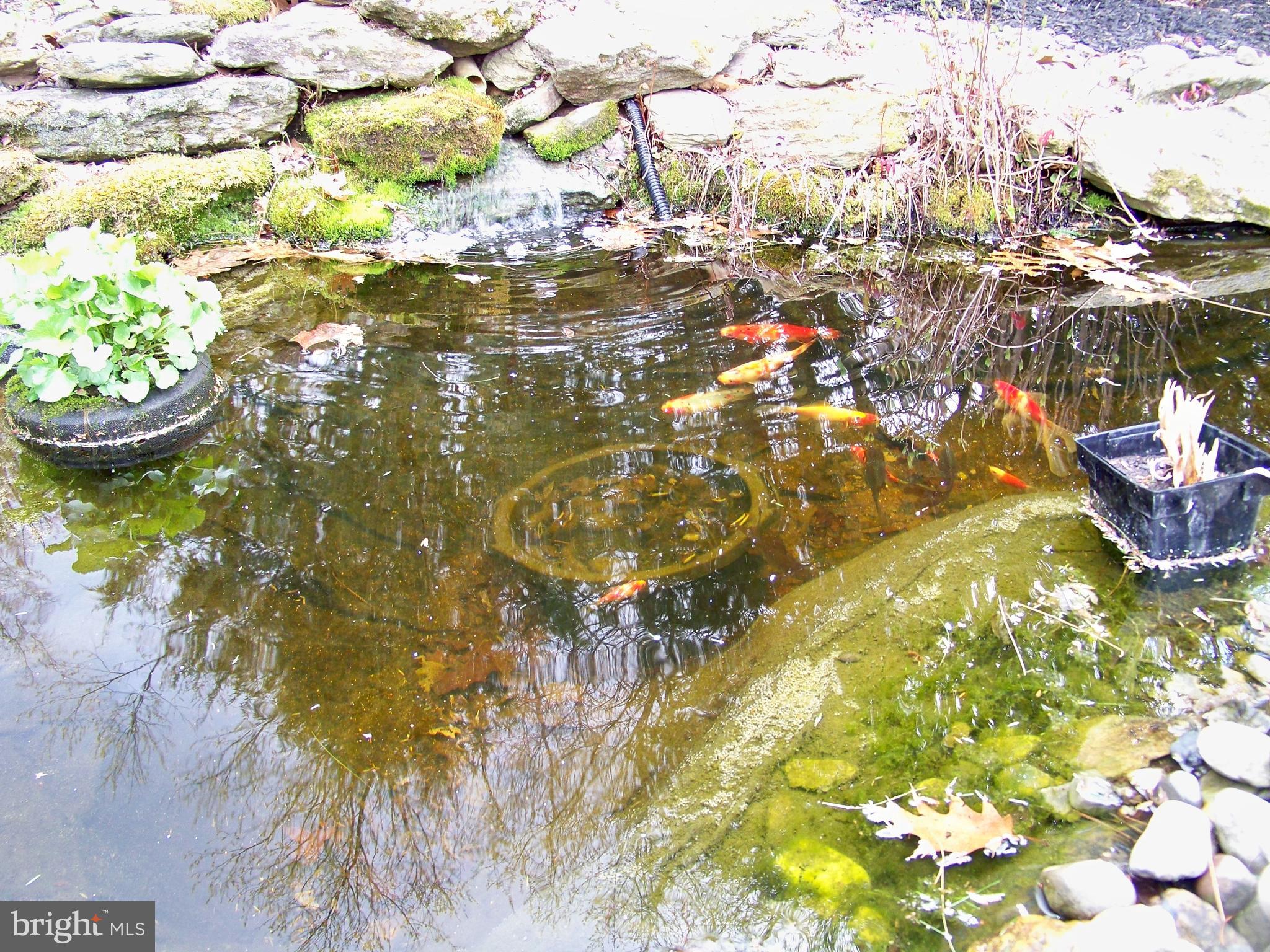 466 Scotland Road Quarryville, PA 17566 - Photo 10 of 28 Fish Included