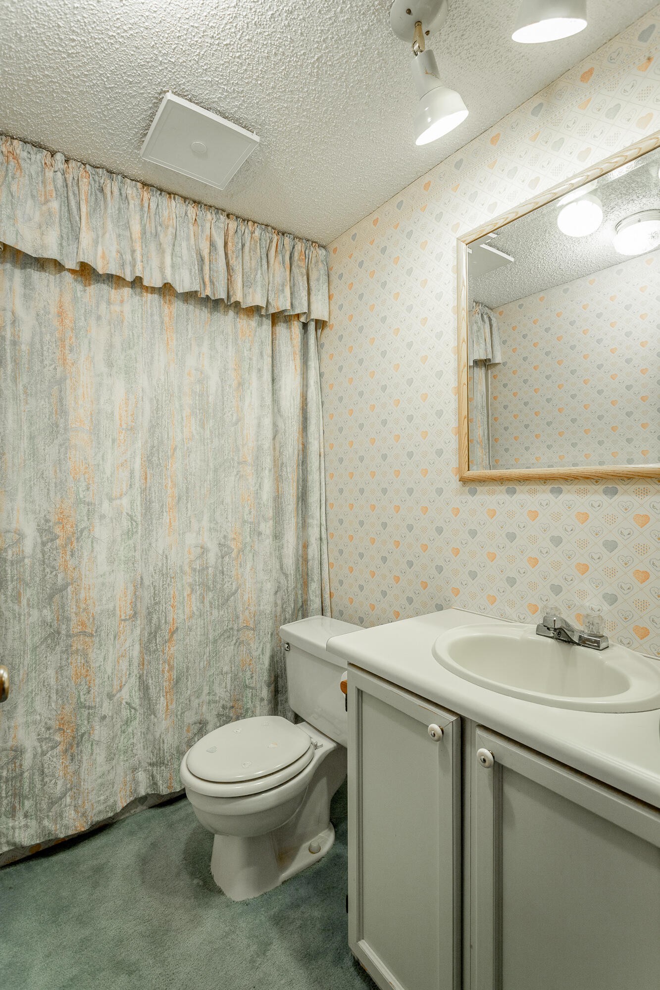 781 East Reed Road LaFayette, GA 30728 - Photo 40 of 73 a bathroom with a sink a toilet and shower