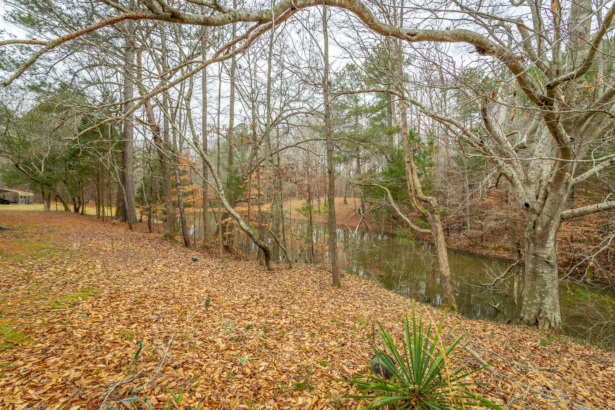 781 East Reed Road LaFayette, GA 30728 - Photo 50 of 73