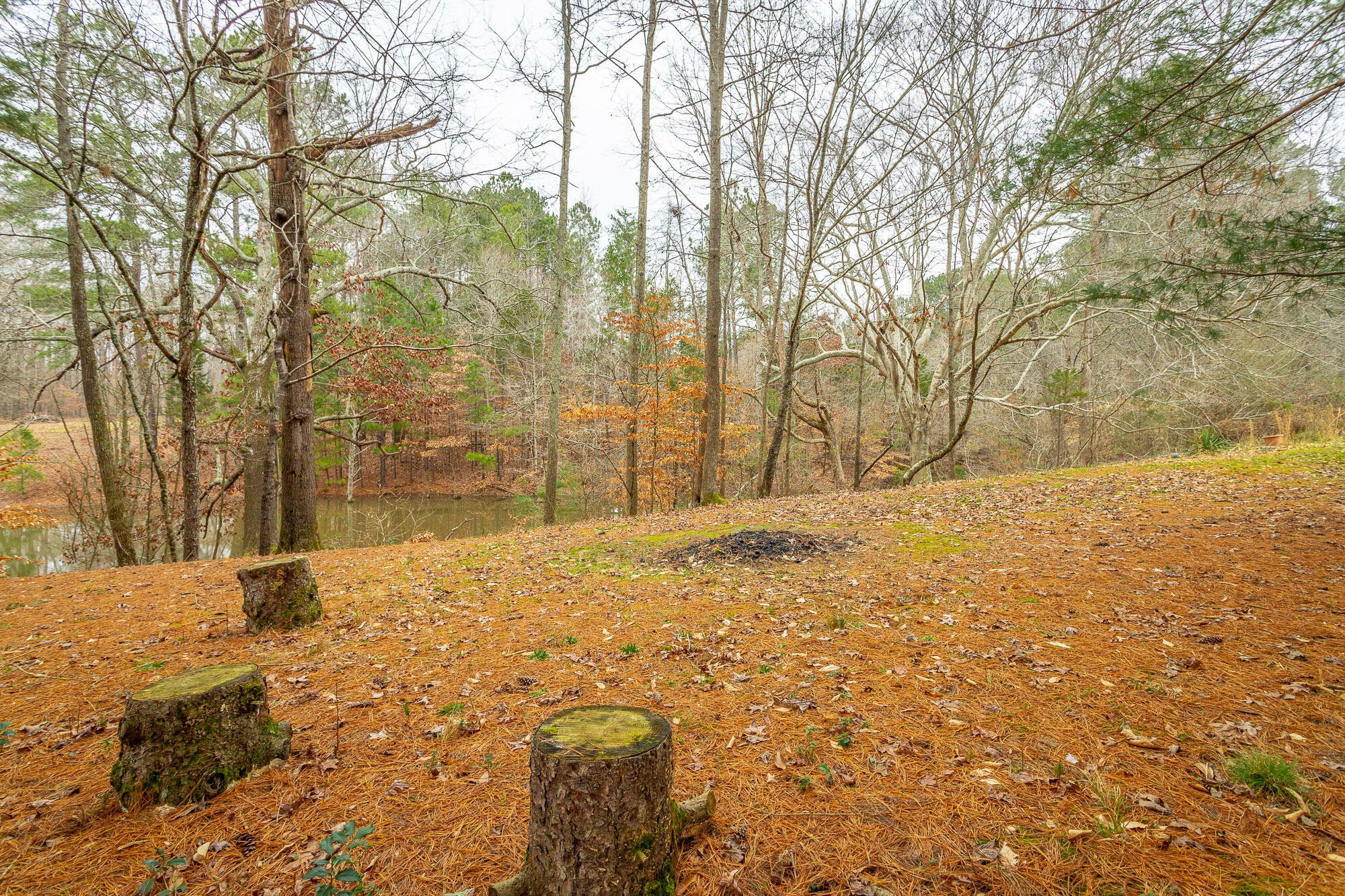 781 East Reed Road LaFayette, GA 30728 - Photo 53 of 73