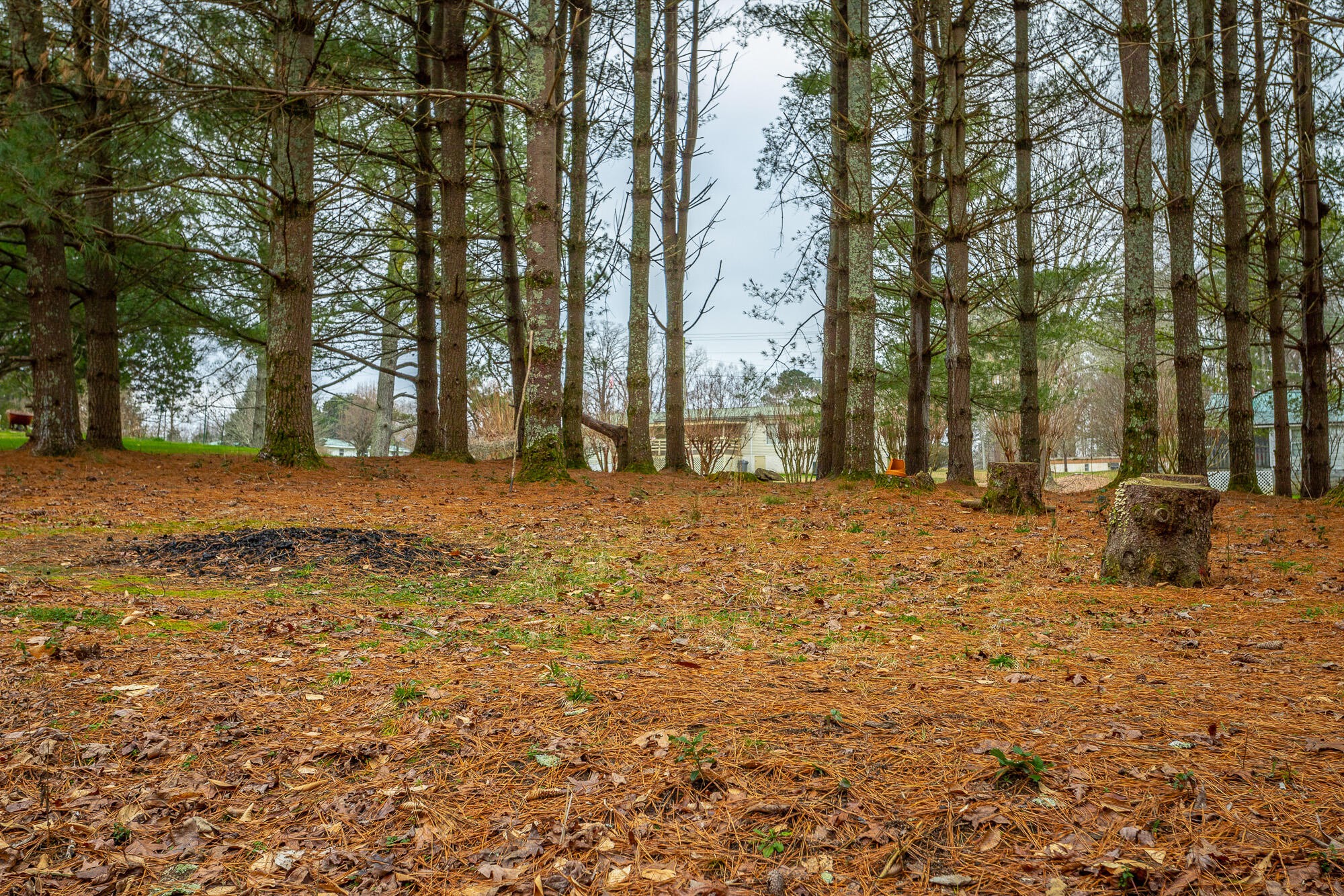 781 East Reed Road LaFayette, GA 30728 - Photo 55 of 73