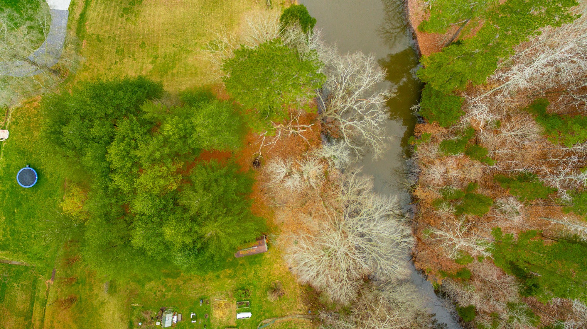 781 East Reed Road LaFayette, GA 30728 - Photo 72 of 73 a view of a yard
