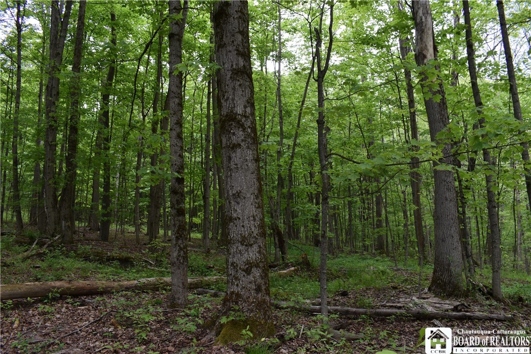 0 Harris Hollow Road Gerry, NY 14740 - Photo 17 of 23