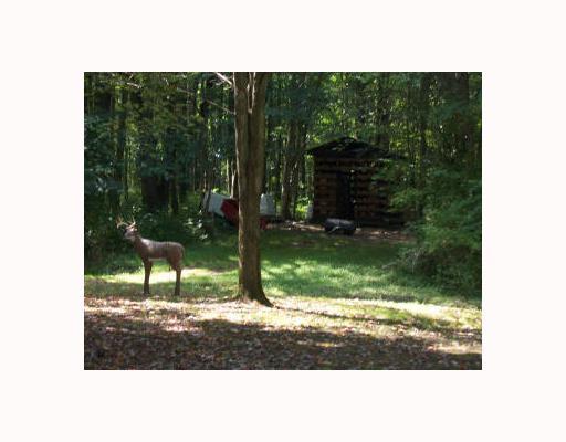 1359 N Road Carlton, PA 16311 - Photo 9 of 9 Other. Woodshed