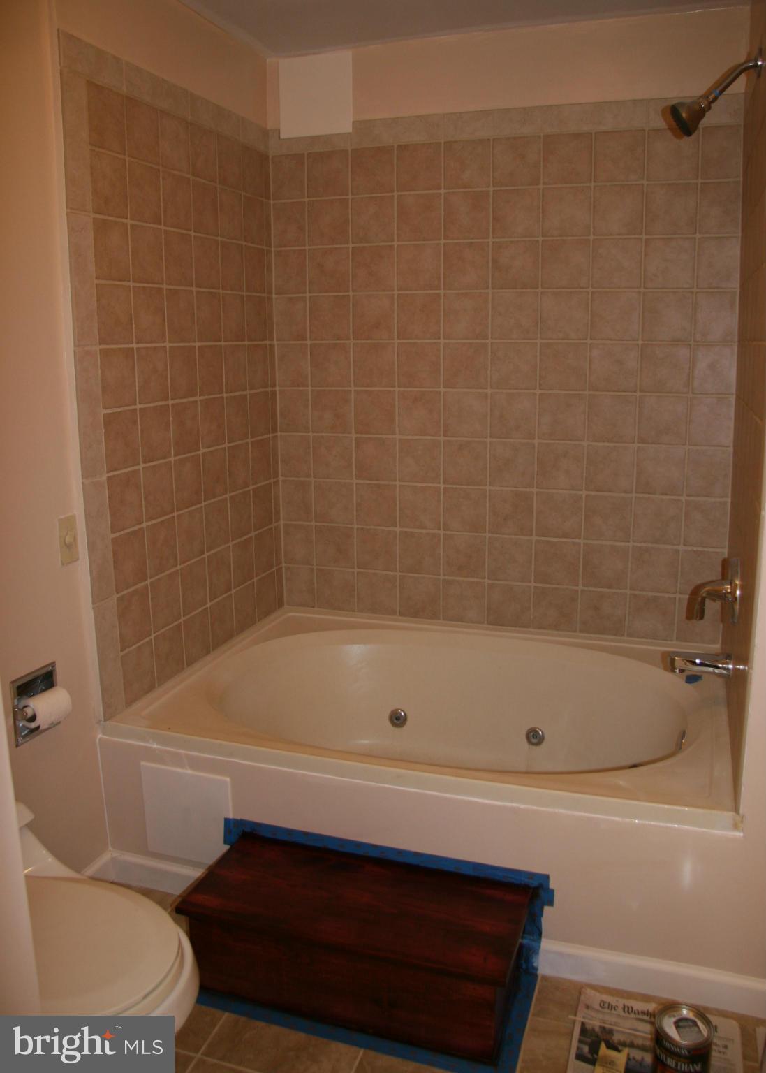 308 Ridge Road Winchester, VA 22602 - Photo 13 of 21 Bath (Master) lower level