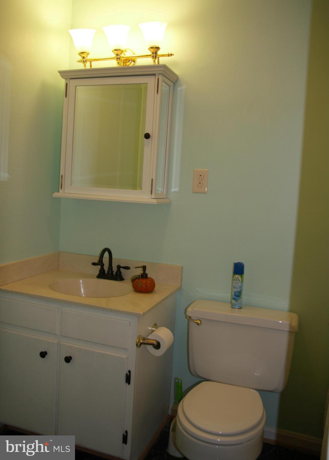 308 Ridge Road Winchester, VA 22602 - Photo 9 of 21 Bath full hallway