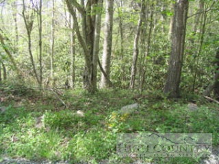 120 Locust Ridge Road Beech Mountain, NC 28604 - Photo 1 of 1 Gallery Image 1