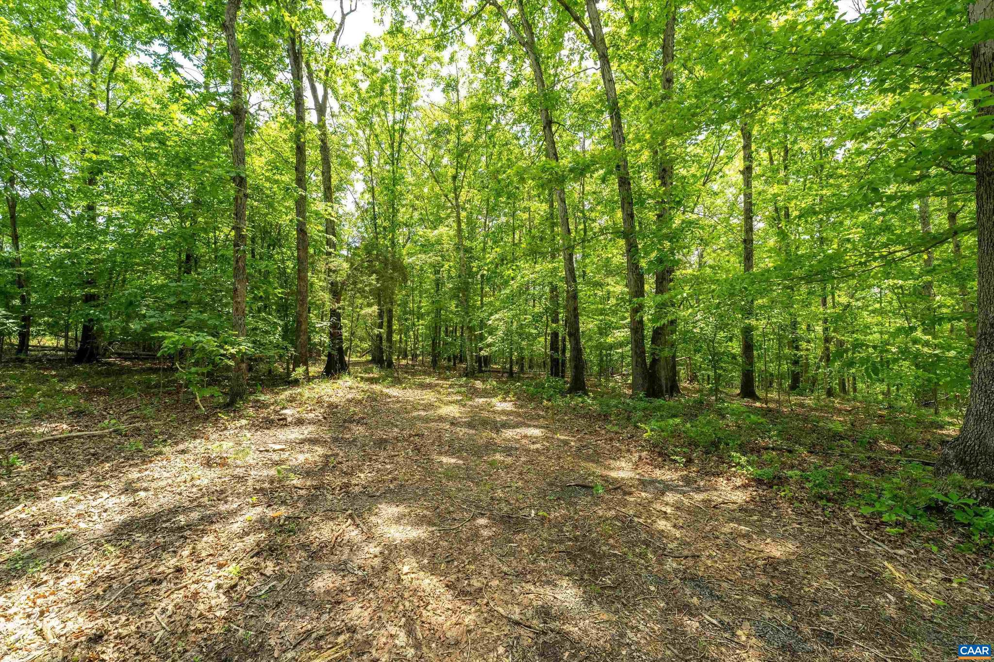 1309 Salem Road, Unit 1 Schuyler, VA 22969 - Photo 2 of 3 a big yard with lots of green space and house in the back
