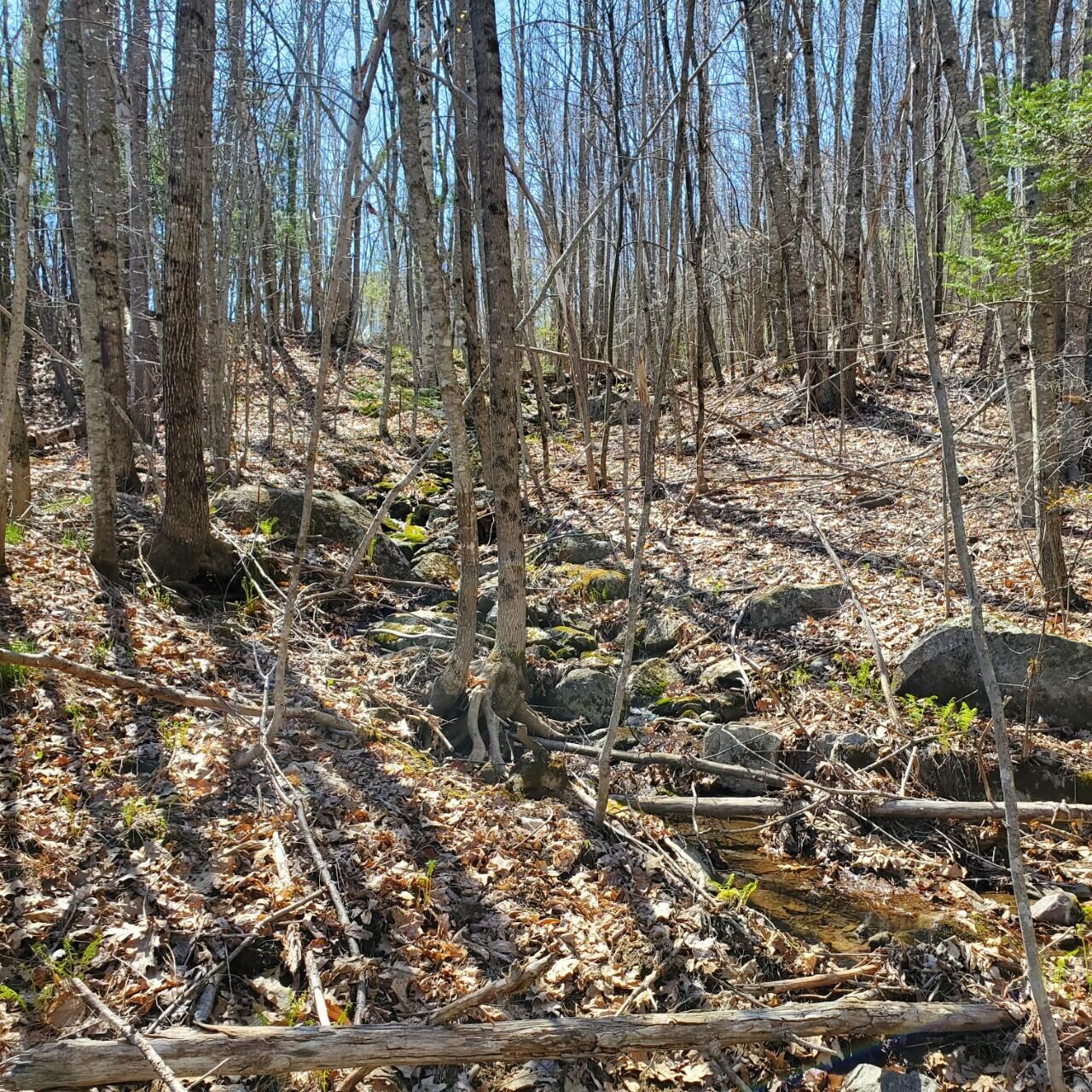 33 Beaver Pond Road Swanville, ME 04915 - Photo 48 of 50 Border od Property