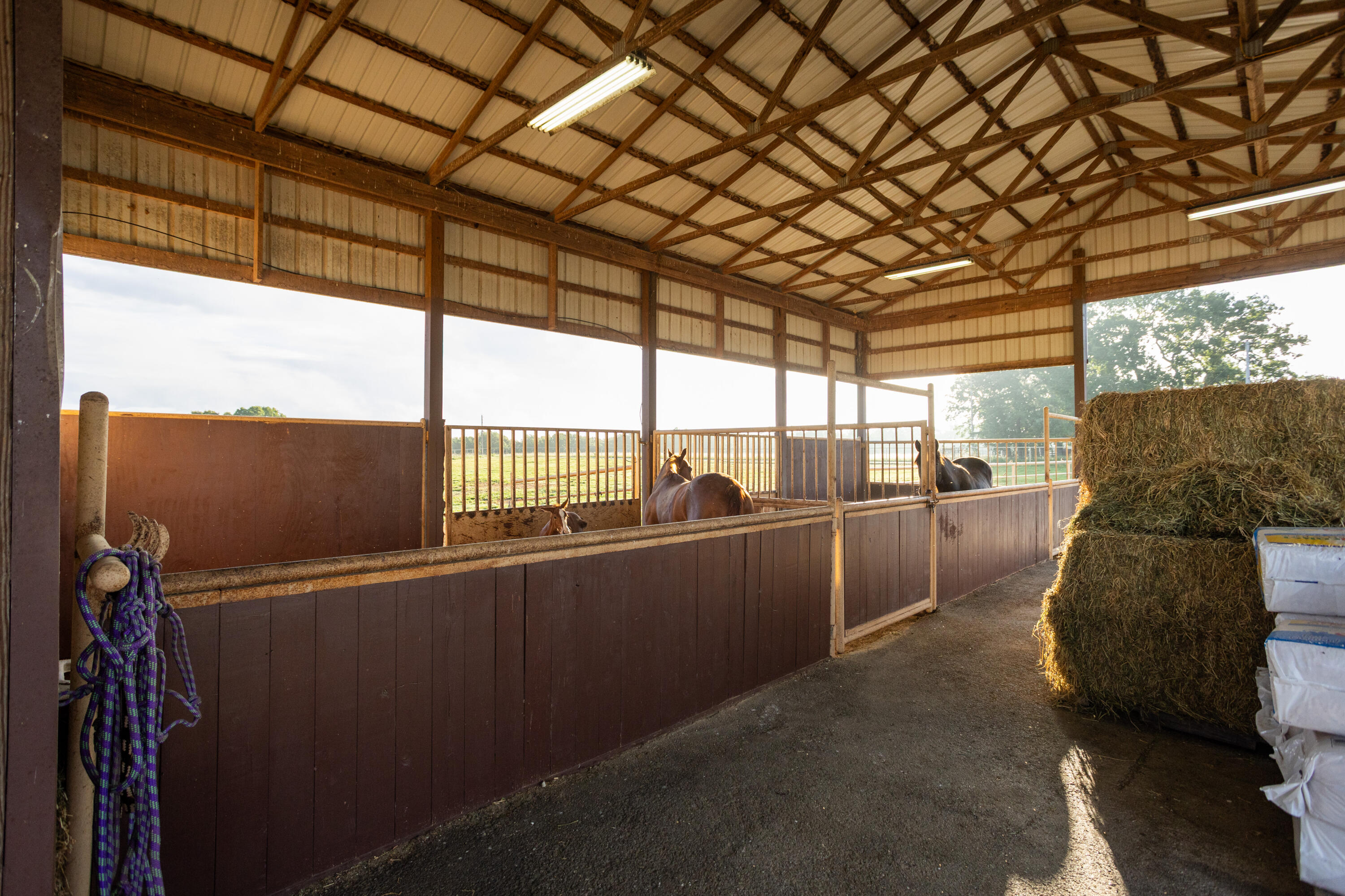 4373 South 165th Road Bolivar, MO 65613 - Photo 46 of 73 46