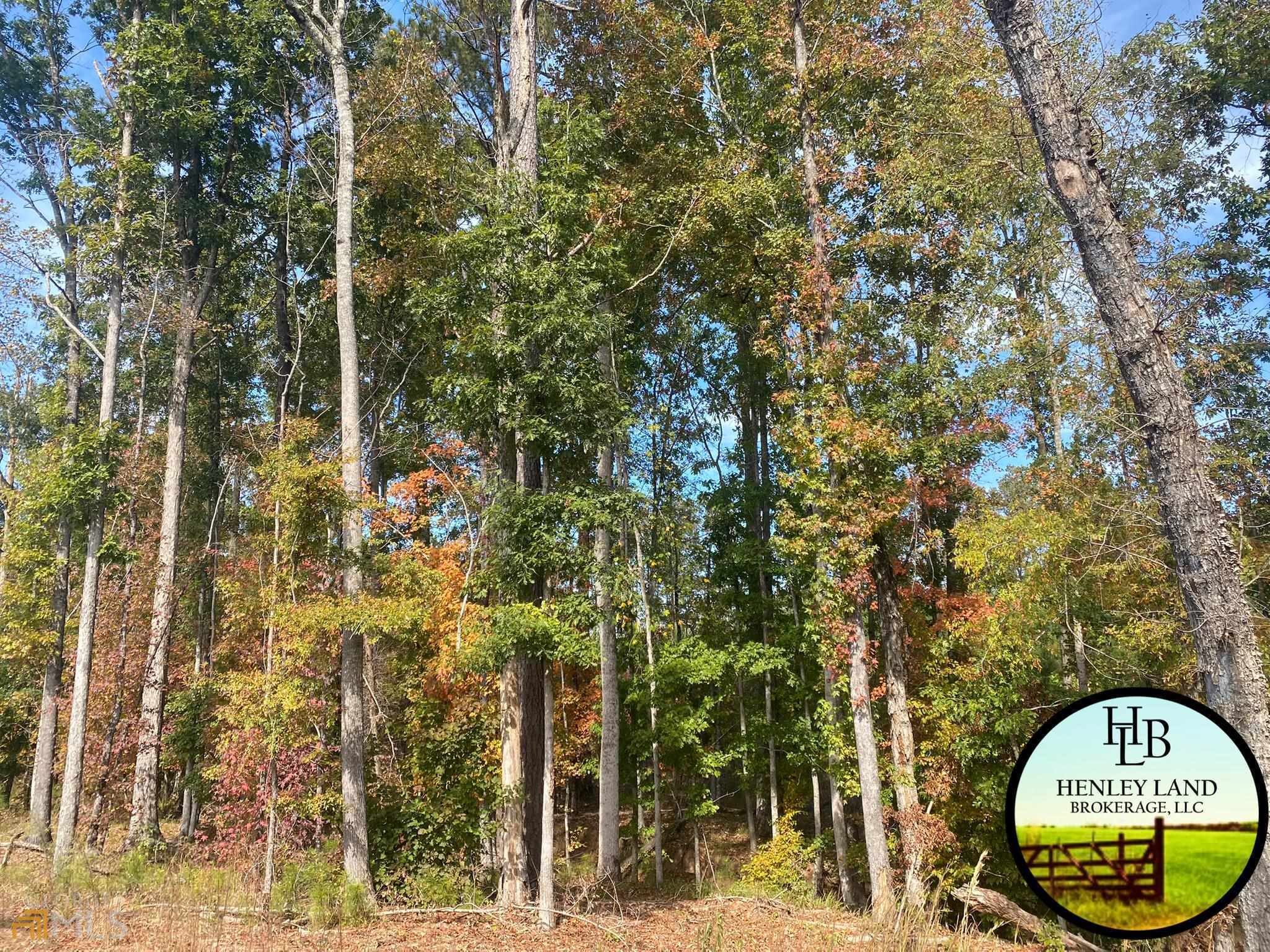 66 James Posey Road Junction City, GA 31812 - Photo 1 of 1 Gallery Image 1