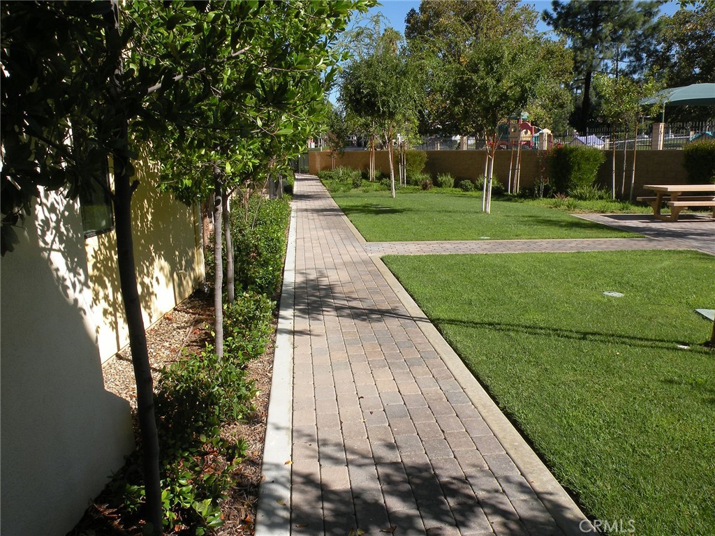920 Central Avenue Riverside, CA 92507 - Photo 56 of 64 a view of a park with large trees