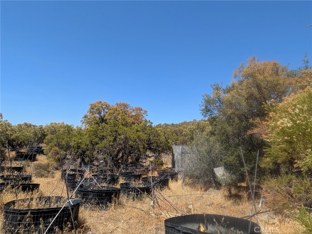 0 Upper Tule Road Anza, CA 92539 - Photo 7 of 7 Gallery Image 7
