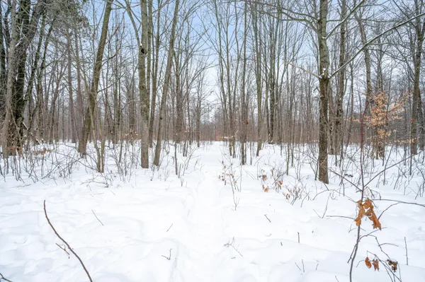 $345,000 | 561 North 8 Mile Road, Lake City, MI 49651