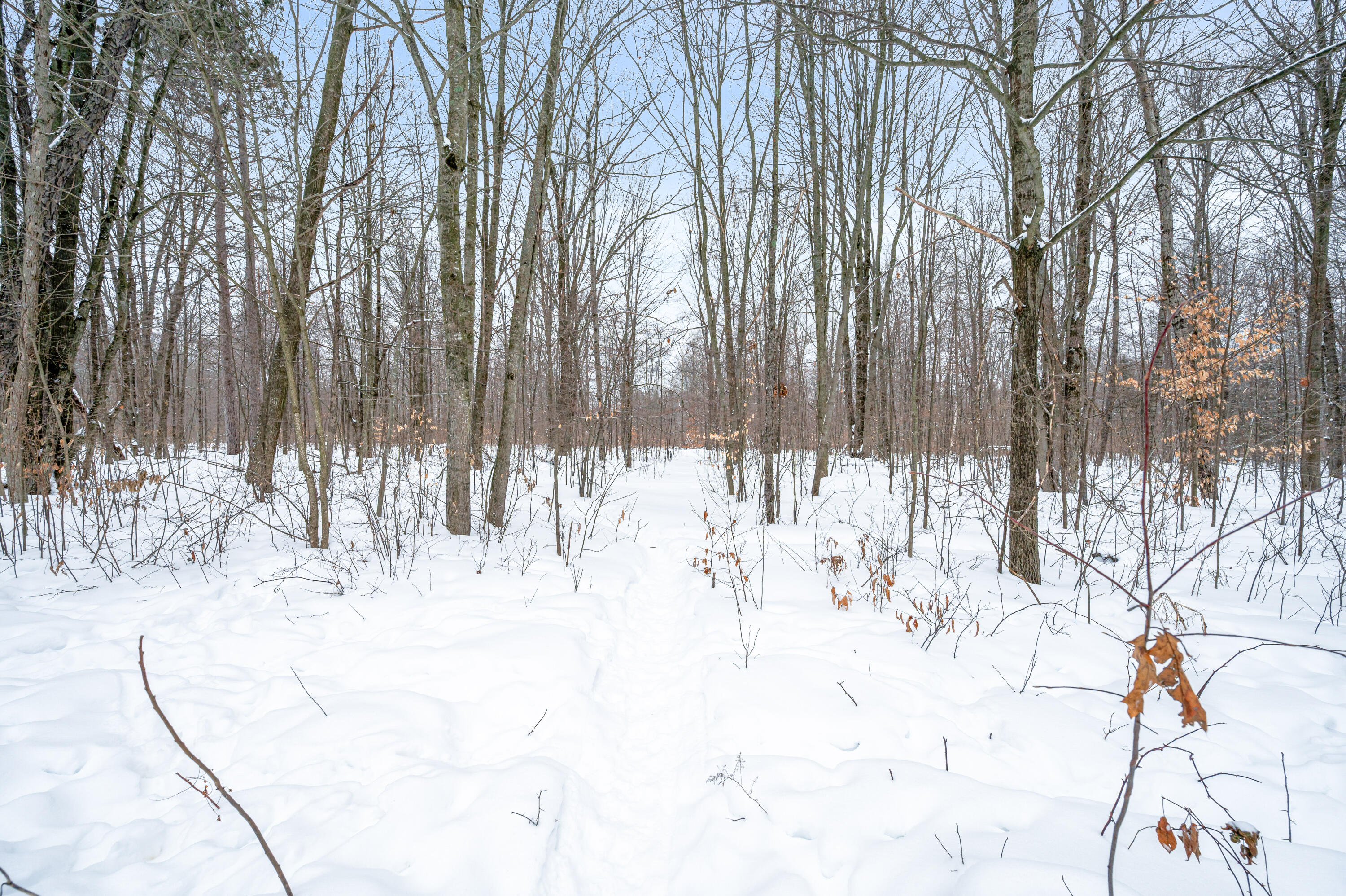 561 North 8 Mile Road Lake City, MI 49651 - Photo 70 of 75 561-N8MileRd-LakeCity-23