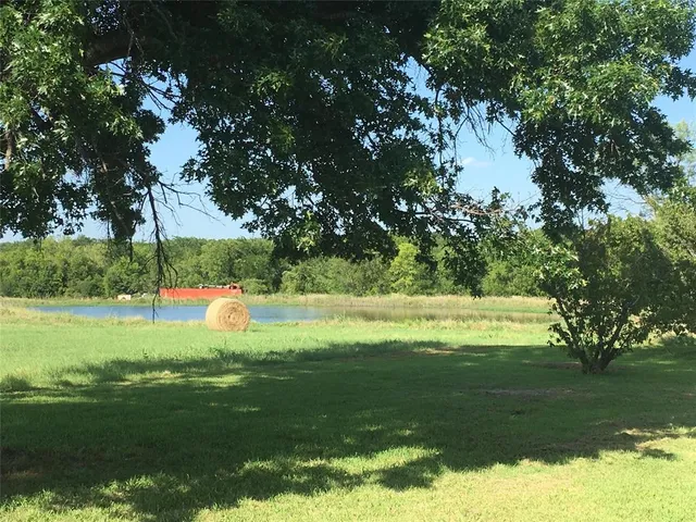 a view of a park with large trees