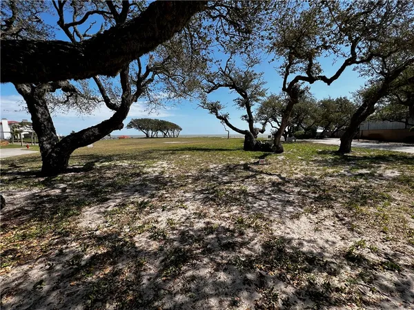a view of a yard with a tree