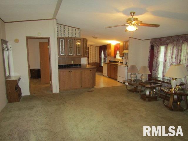 731 Bohn Street Rosiclare, IL 62982 - Photo 7 of 32