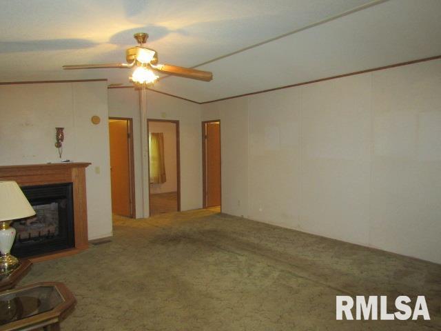 731 Bohn Street Rosiclare, IL 62982 - Photo 8 of 32