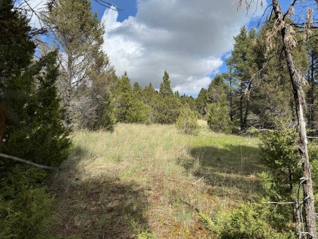 704 Flint View Road Deer Lodge, MT 59722 - Photo 9 of 20 Gallery Image 9