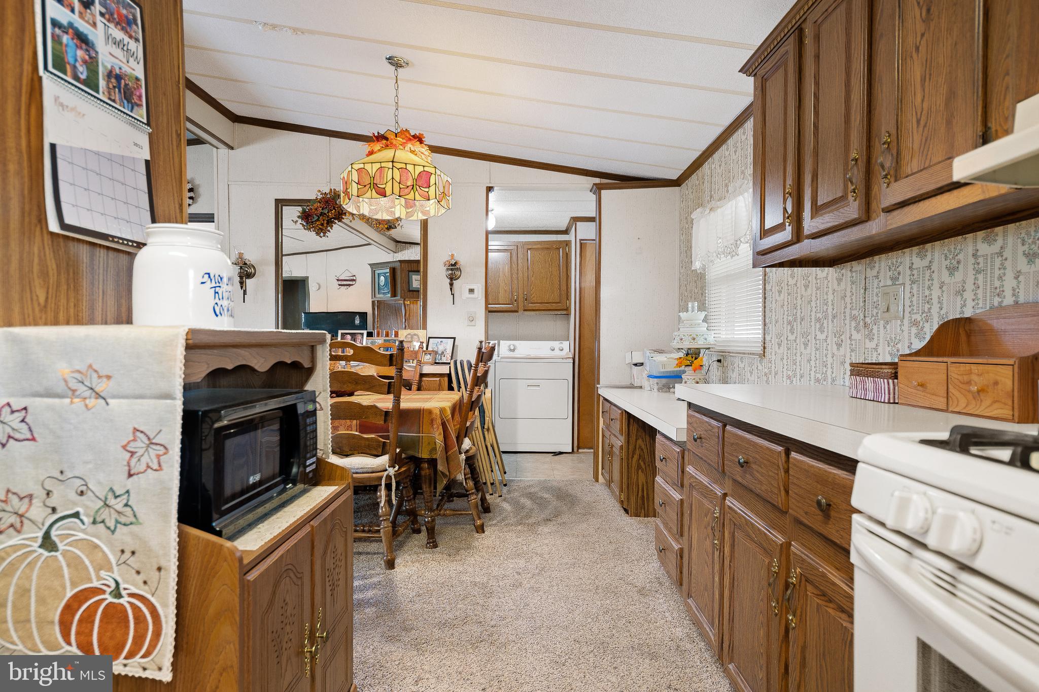 313 John Alden Drive Buena, NJ 08310 - Photo 18 of 50 Kitchen