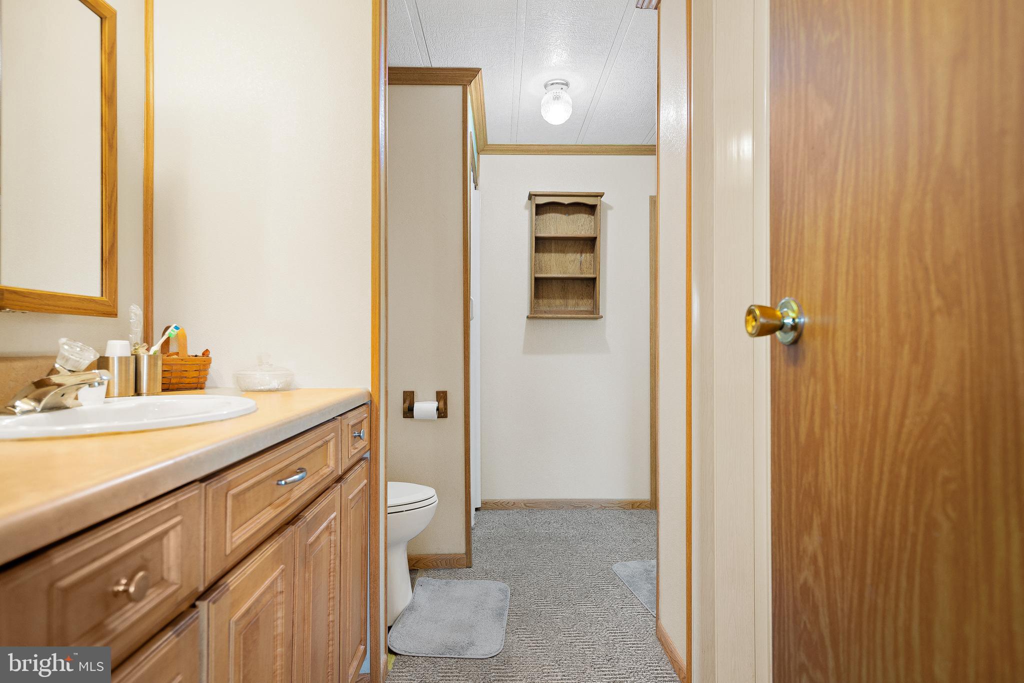 313 John Alden Drive Buena, NJ 08310 - Photo 27 of 50 Bathroom 1