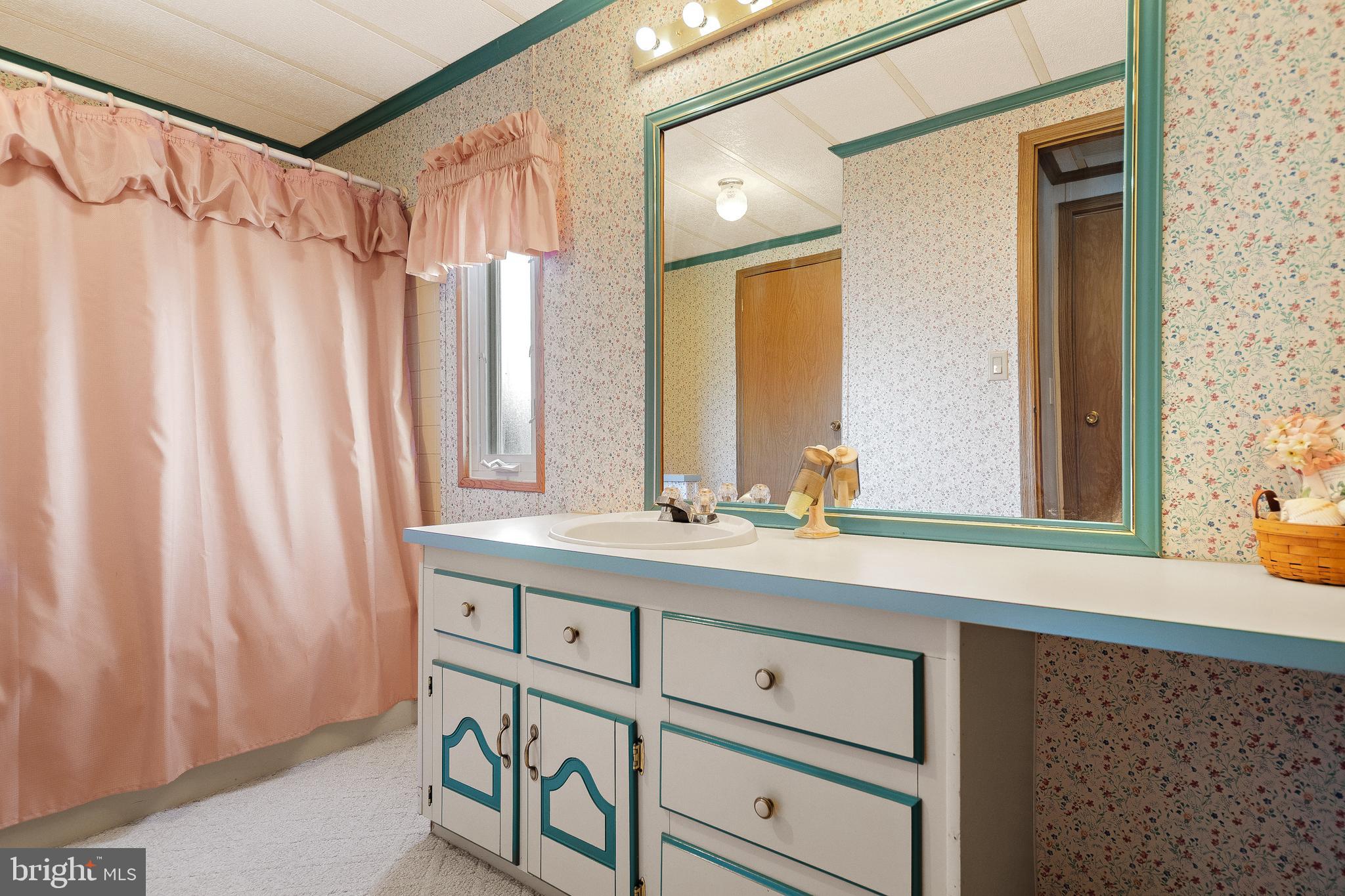 313 John Alden Drive Buena, NJ 08310 - Photo 4 of 50 Bathroom 2