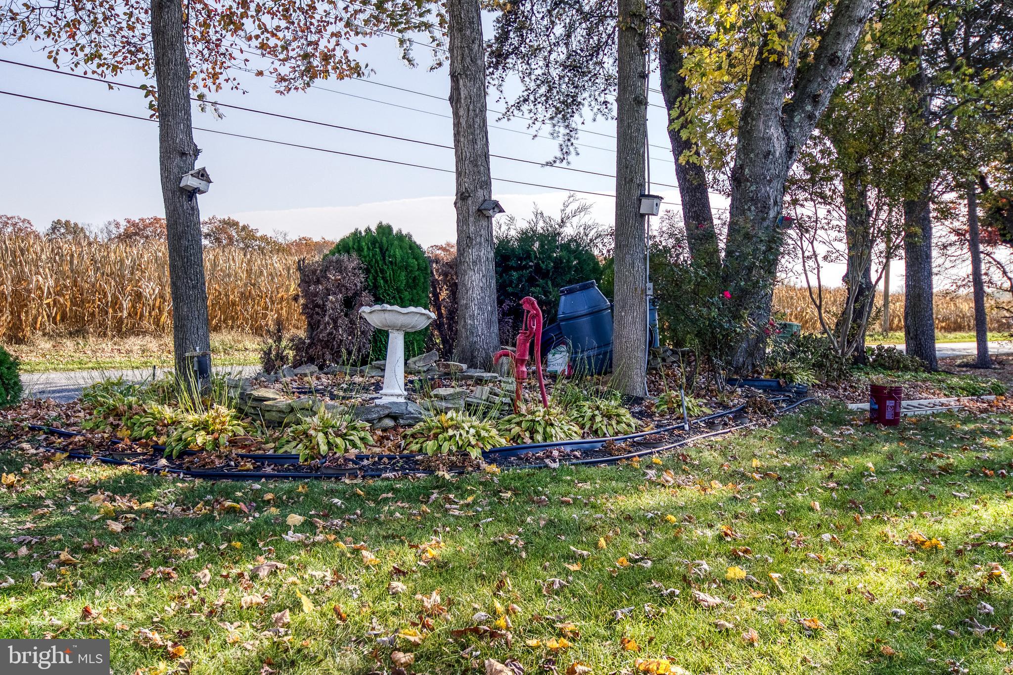 313 John Alden Drive Buena, NJ 08310 - Photo 48 of 50 Back Yard
