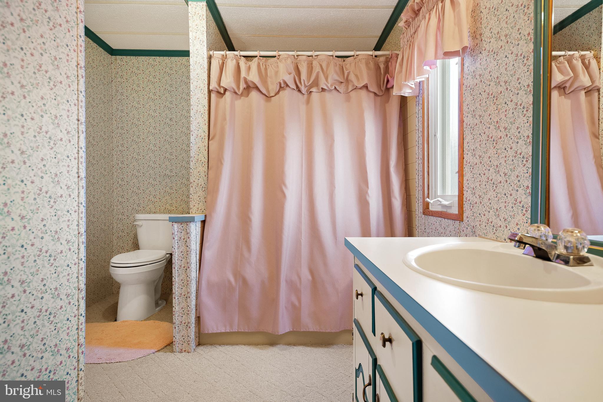 313 John Alden Drive Buena, NJ 08310 - Photo 5 of 50 Bathroom 2