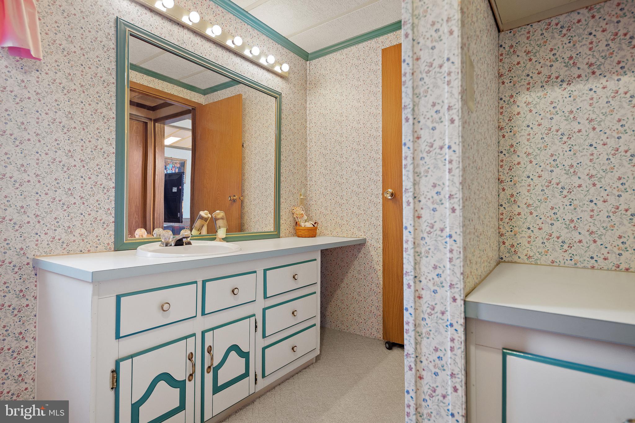 313 John Alden Drive Buena, NJ 08310 - Photo 8 of 50 Bathroom 2