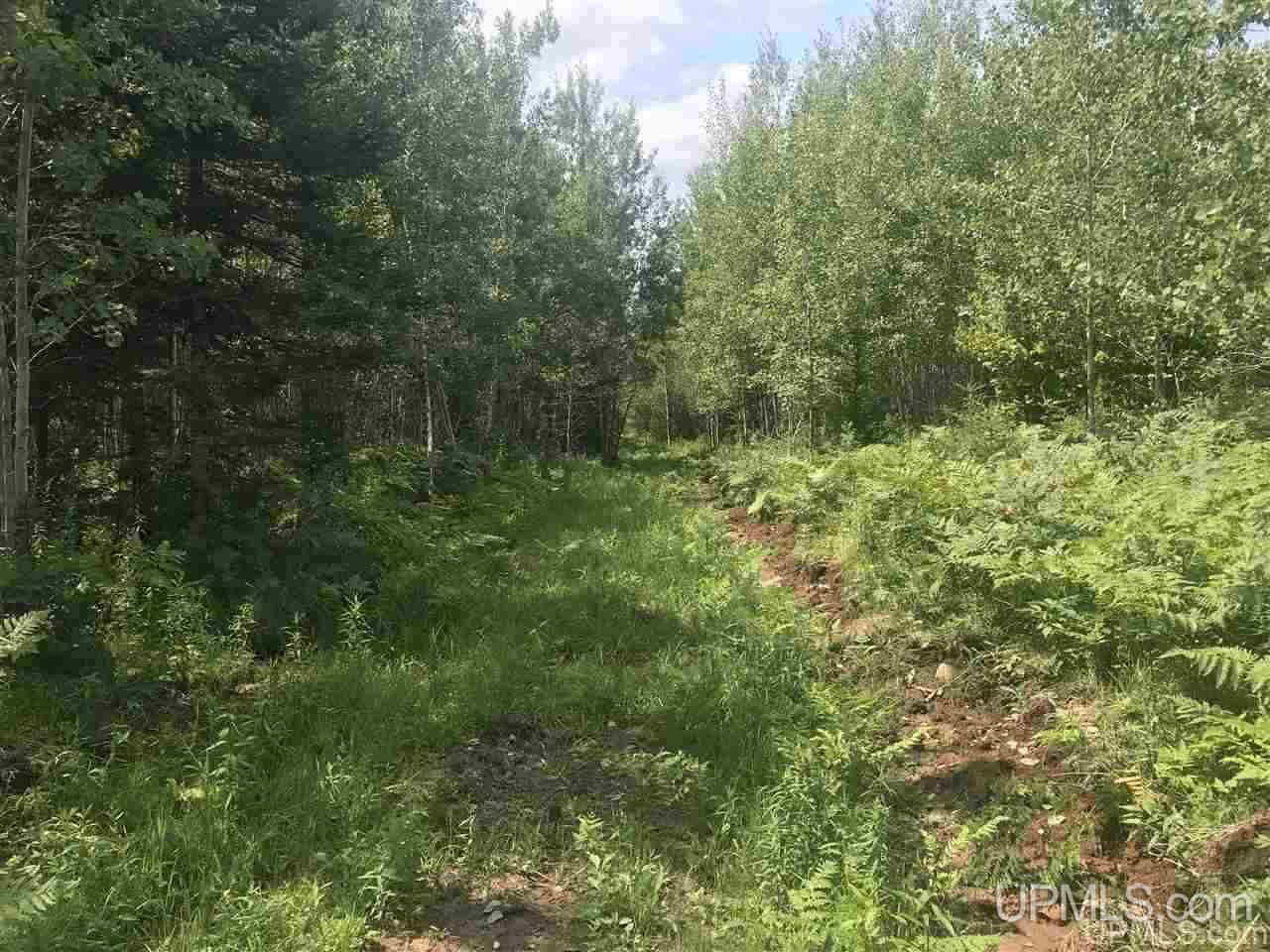 Tbd Off Nowack Road, Unit 1 Powers, MI 49874 - Photo 24 of 32