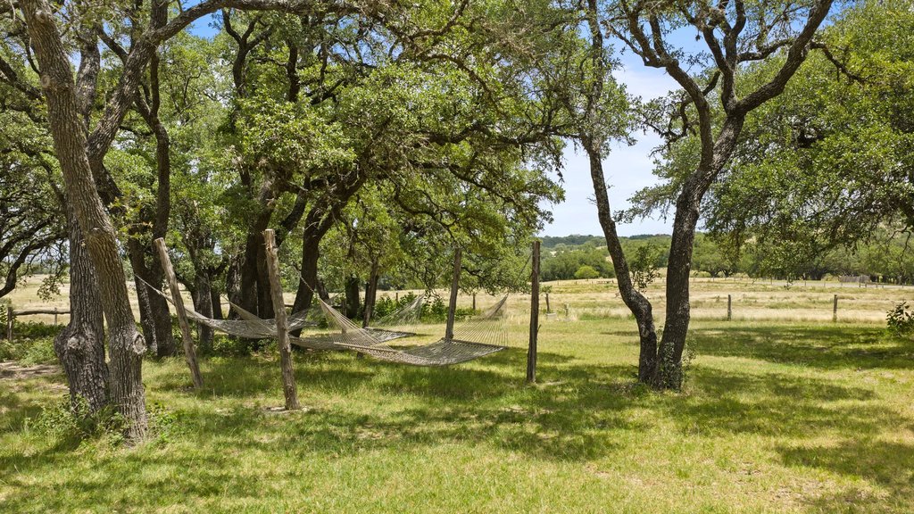 207 Verbena Road Johnson City, TX 78636 - Photo 36 of 40 Two hammocks offer a tranquil spot for relaxation amidst the natural shade of mature trees.