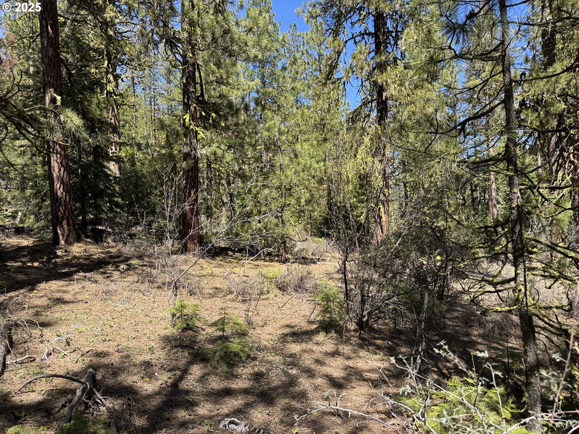 Horned Owl Lane Bonanza, OR 97623 - Photo 38 of 44