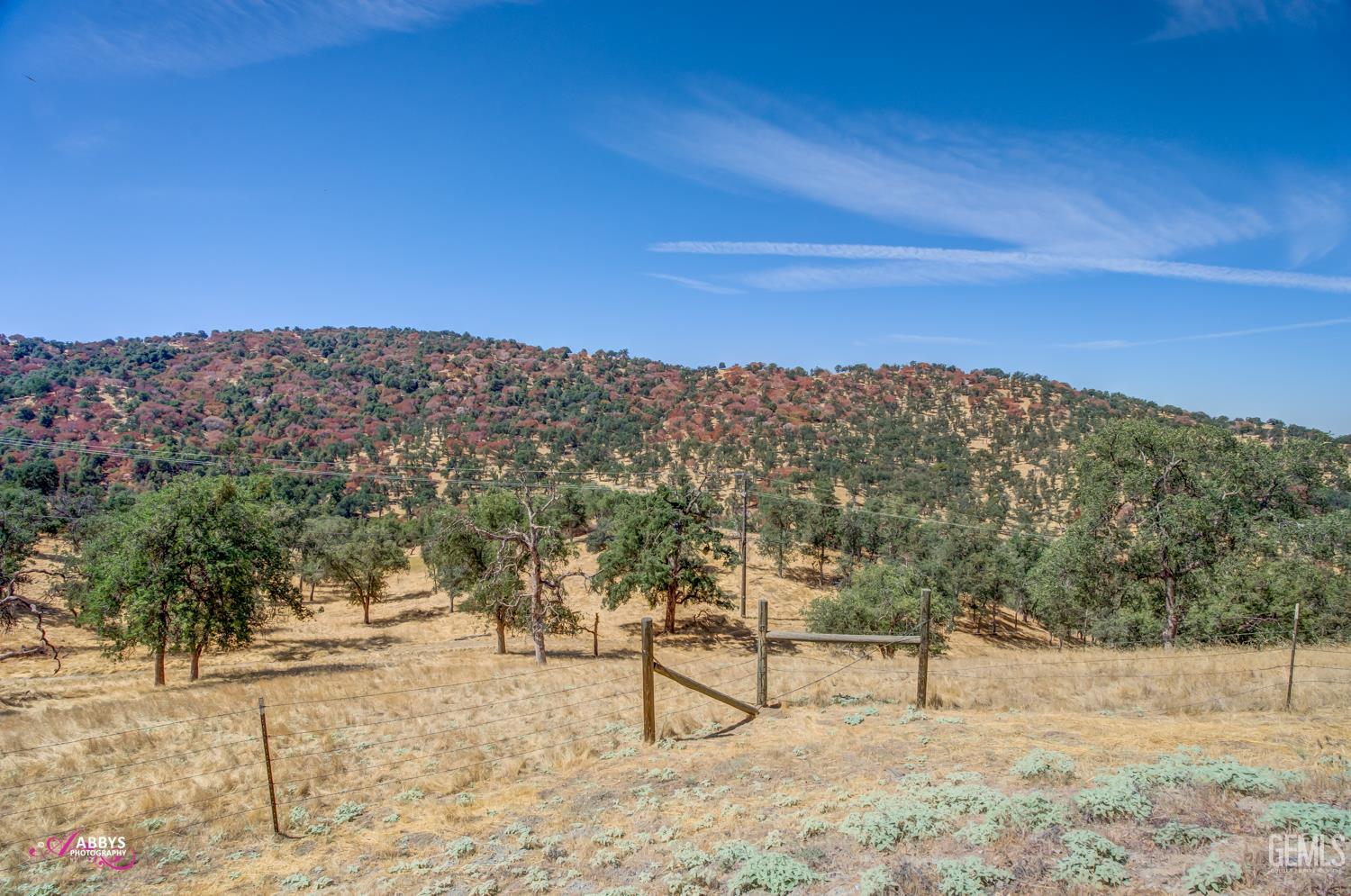 Undisclosed Address Woody, CA 93287 - Photo 22 of 30 a view of a yard with a mountain