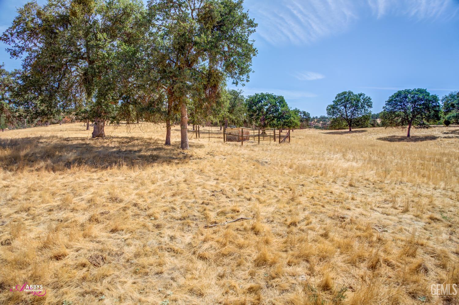 Undisclosed Address Woody, CA 93287 - Photo 24 of 30 a view of yard with trees
