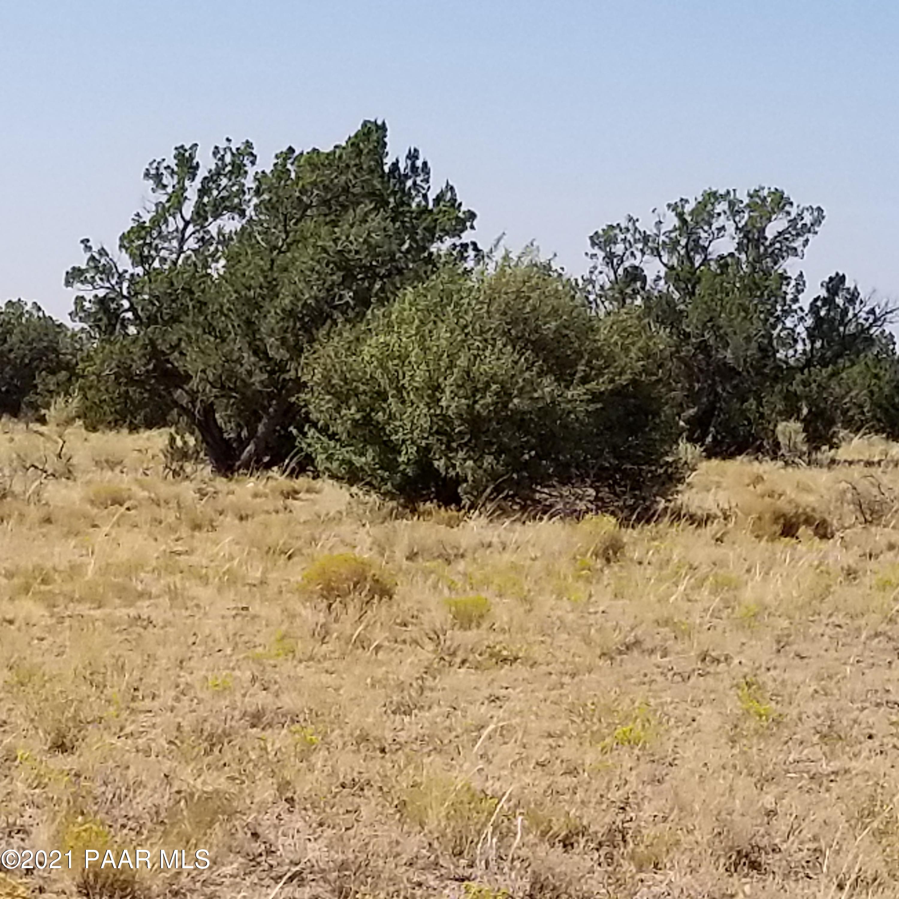 632 North Rolling Spring Road Williams, AZ 86046 - Photo 5 of 11 20200925_141248