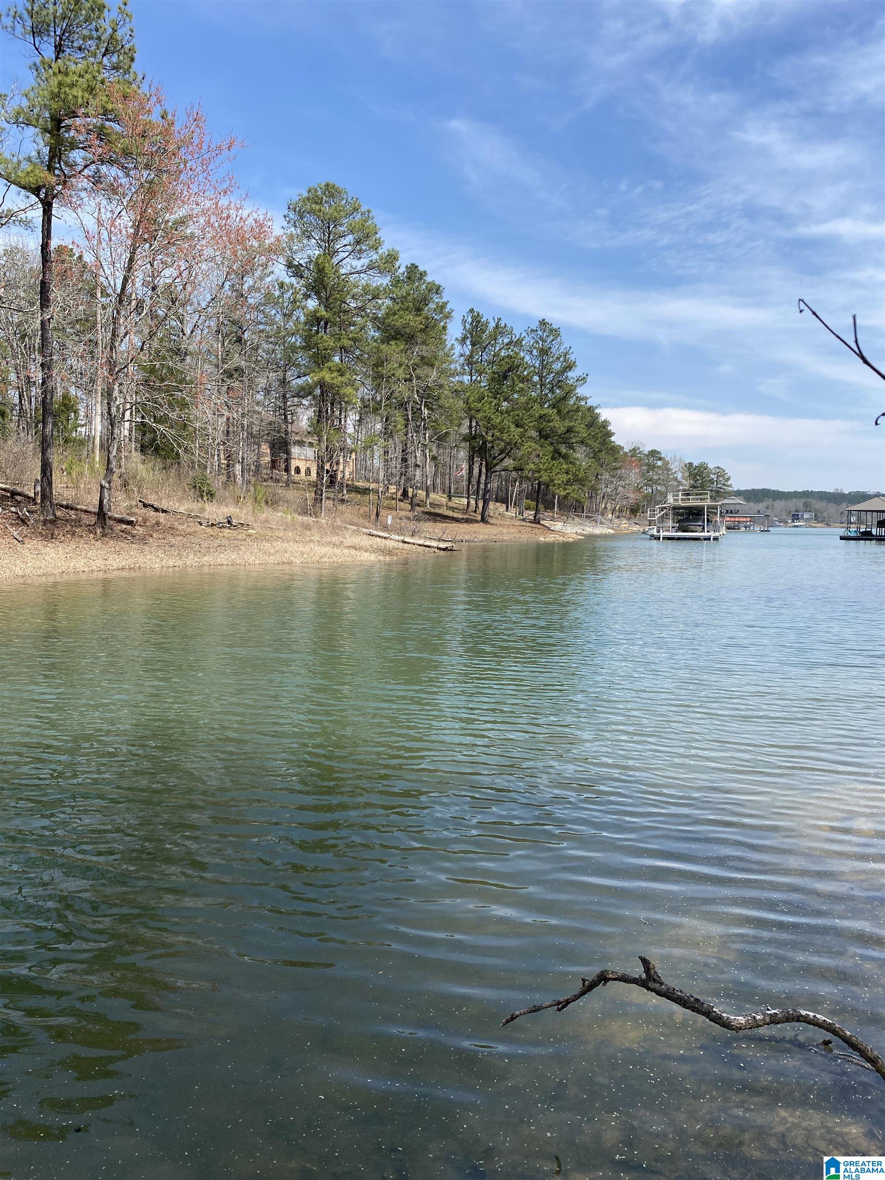 Lot 37 Stoney Point Road South, Unit 37 Double Springs, AL 35553 - Photo 1 of 33