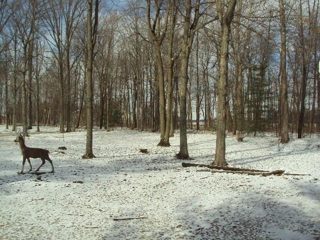 7933 Stoltz Road Greenville, OH 45331 - Photo 41 of 51 Gallery Image 41