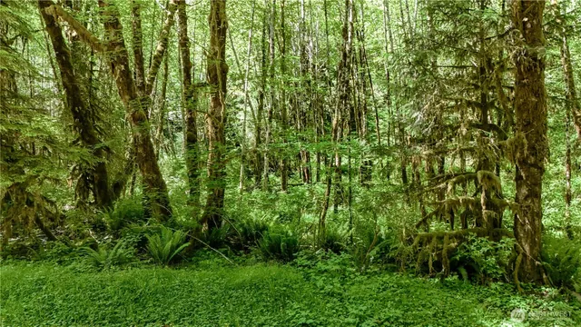 $139,000 | 99992 Dowan Creek Road, Forks, WA 98331