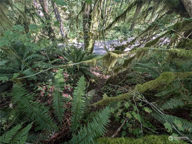 $139,000 | 99992 Dowan Creek Road, Forks, WA 98331